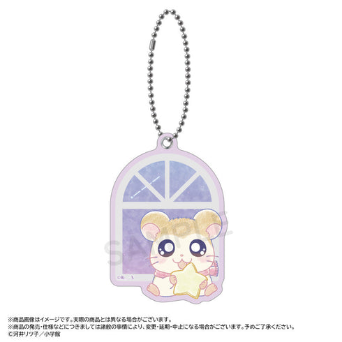 『とっとこハム太郎』~Twinkle Dreams~スライドミラー F.マフラーちゃん